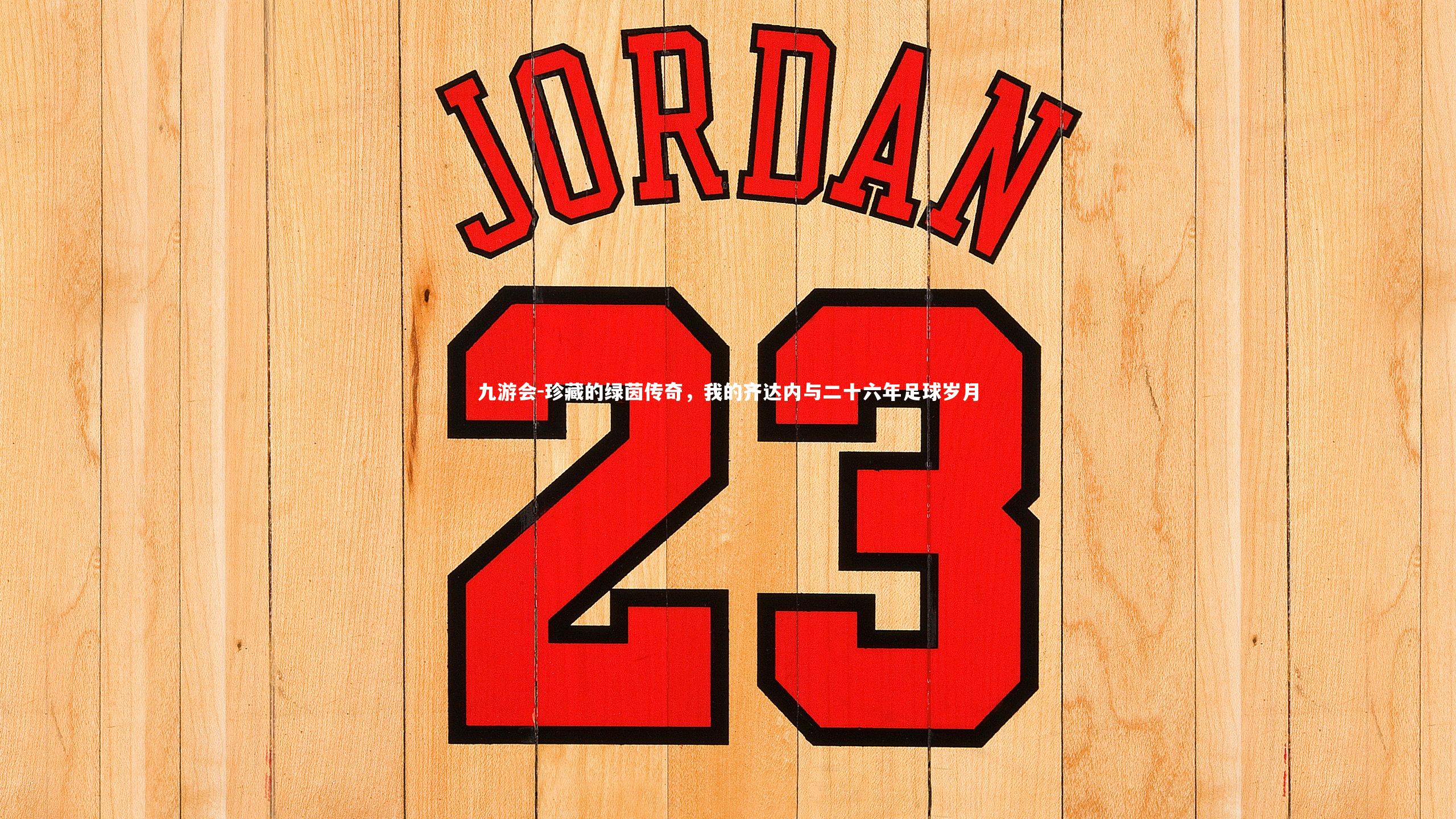 珍藏的绿茵传奇,我的齐达内与二十六年足球岁月