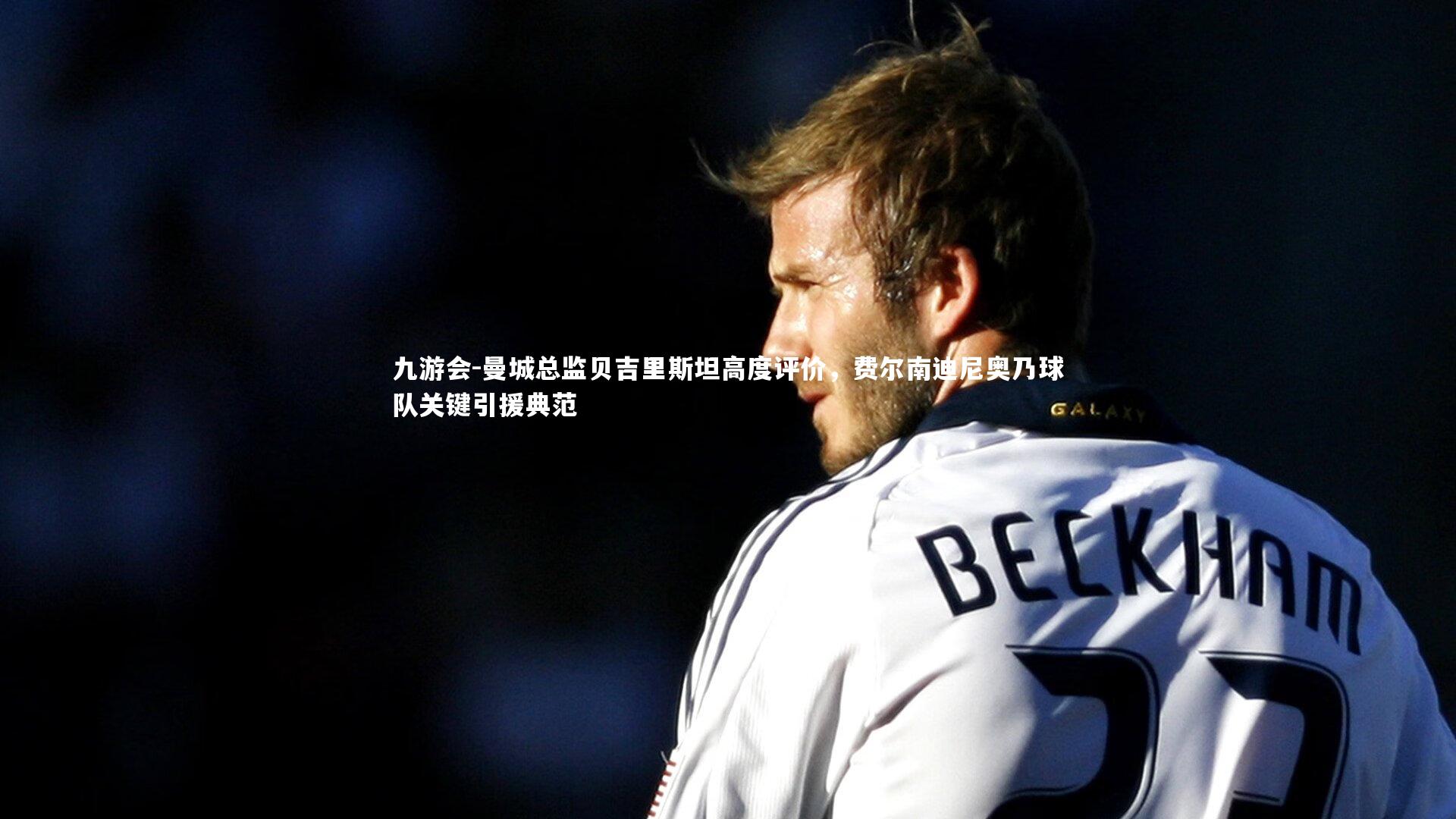 曼城总监贝吉里斯坦高度评价,费尔南迪尼奥乃球队关键引援典范